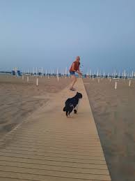 Lido di campomarino is home to campomarino lido. Lido Stella Marina Startseite Facebook