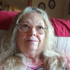 Thriving plants for direct sunlight windows