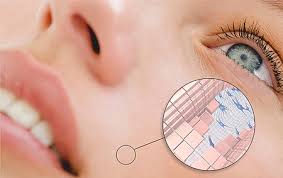 What is the english language plot outline for silab (2021)? Silab Glyco Repair Mediator Of The Natural Skin Repair Process Sofw Verlag Fur Chemische Industrie