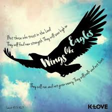 Look At The Birds Of The Air Nlt Pin On Sayings