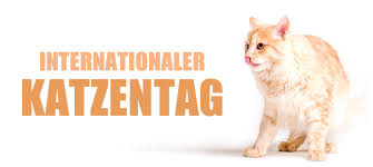 Im internet finden sich hunderttausende bilder der pelzigen gefährten. Weltkatzentag 2021 Der Internationale Tag Der Katze Print Pets