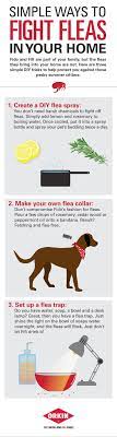 Alonzostanton2 Gmail Com Fleas Dog Care Dog Remedies
