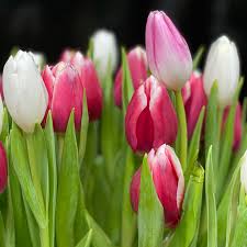 Maybe you would like to learn more about one of these? Rickey Heroman S Florist And Gifts Home Facebook