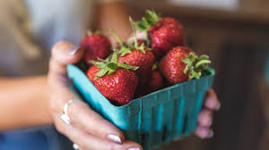 'in the current climate, a lower than average level of pollution combined with a good weather forecast means the view will be even clearer. Oregon S Summer Bounty Guide To U Pick Farms In Oregon Travel Oregon