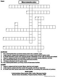 Macromolecules review worksheet for h biology: Macromolecules Worksheet Crossword Puzzle By Science Spot Tpt