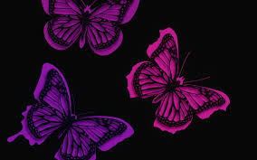 Butterfly, butterfly, butterflies on blue background, purple, violet png. 2880x1800 Pink Butterflies Artistic Macbook Pro Retina Hd 4k Wallpapers Images Backgrounds Photos And Pictures