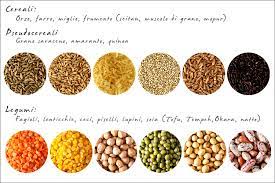 Maybe you would like to learn more about one of these? Proteine Vegetali Parte Prima Mammachechef
