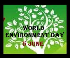 This day is celebrated to raise global awareness of the need to take positive environmental action. World Environment Day 5 June Short Essay On World Environment Day 100 Words All Essay English Essay Short Essay In English Language