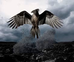 See more ideas about phoenix bird, real phoenix bird, phoenix bird tattoos. Real Phoenix Bird A Greek Mythical Creature Petsnurturing