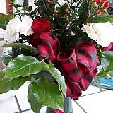 Check spelling or type a new query. Avas Flowers Reviews 14 Reviews Of Avaflowers Com Sitejabber