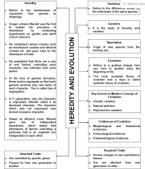 Flow Chart Of Heredity And Evolution Brainly In