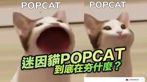 Popcat, who has had the usernames movingdirections, popc4t, uwupopcat, poopfat, and apopcat, is a merchant and fighter known for clogging chat with advertisements for his trades.as a member of dawnbreakers, he has been involved with. Pznnr Jpqaqq2m