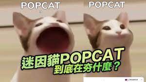 Pznnr Jpqaqq2m
