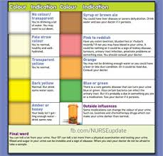 Pin By Mae Detuelo On Nursing 101 Color Of Pee Chart Pee