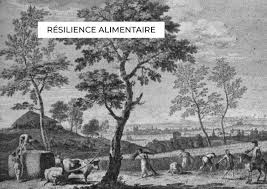 Infographie Resilience Alimentaire Les Greniers D Abondance En 2020 Alimentaire Infographie Grenier