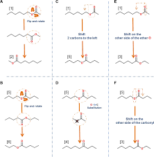 Functional Odor Classification Through A Medicinal Chemistry