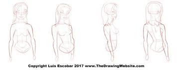 In this drawing tutorial, we will show you how to draw an anime girl. Cartoon Arm Formula The Drawing Website