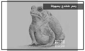 مدونة شمس تعلم رسم الضفدع بسهولة drawings fictional characters blog posts