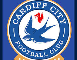 Get the cardiff city f.c. Cardiff City Fc Projects Photos Videos Logos Illustrations And Branding On Behance