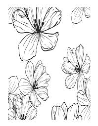Aesthetic minimalist simple flower drawings. Be Your Own Kind Of Beautiful Activity Book In 2021 Nature Drawing Drawings Flower Drawing