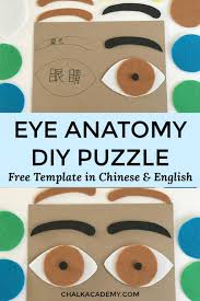 If only you already have a goal, it will be easier for you to choose which. How To Make A Felt Eye Puzzle Human Anatomy Activity For Kids