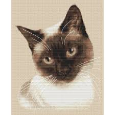 Cross stitch pattern detail information: Siamese Sepia Cross Stitch Kit Elite Designs