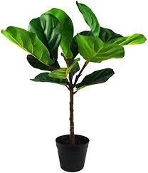 Buy the best and latest fake philodendron plant on banggood.com offer the quality fake philodendron plant on sale with worldwide free shipping. Home Garden Artificial Philodendron Plant Potted Green Fake Foliage Floral Home Decor 60cm Home Decor