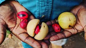 Happy New Year, Fam! I'm