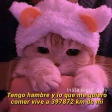 ¿buscas imágenes de gatitos con frases de amor, fotografías de gatos con frases graciosas o quizás un par de frases tiernas para tu gato? Gatitos Tristes Con Frases Tristes