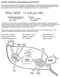 Photosynthesis Coloring Photosynthesis Photosynthesis Lesson Plan Photosynthesis Worksheet