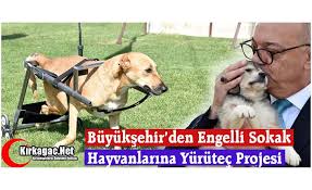 Engelli Hayvanlara Yurutec Projesi