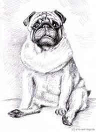 110 Portrait Schnauze Zeichnung Bilder Und Ideen Auf Kunstnet