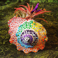 Fighting conch shell crafts turtle. Pin On Rainbow Power