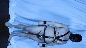 Alejo Ospina Gay Porn Videos- Gay VR XXX 2025 xHamster