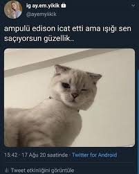 Zubeyde Adli Kullanicinin Mood Panosundaki Pin 2020 Komik Komik Seyler Resimli Alintilar