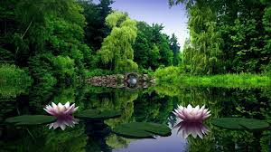 Check spelling or type a new query. 62 Hd Nature Wallpapers 1920 1080