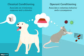 The Difference Between The Classical And Operant Conditioning Operant Conditioning Classical Conditioning Psychology Observational Learning