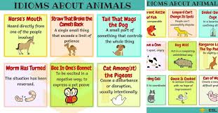 Animal Idioms 165 Useful Animal Idioms From A Z 7 E S L Idioms And Phrases Idioms English Idioms