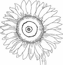 The cute sunflower coloring page is a good option for kids aged 6 to 10. Coloring Pages Of Sunflowers Coloring Home