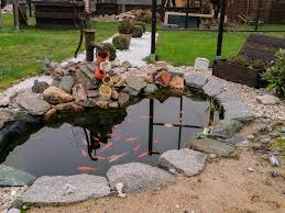 See more of rettet den botanischen garten in chemnitz on facebook. Kleingartenverein Vereinte Kraft E V Chemnitz Euer Kleingarten Im Herzen Der Stadt Chemnitz