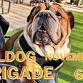 Bulldog Brigade Meetup at Pub Dog Colorado