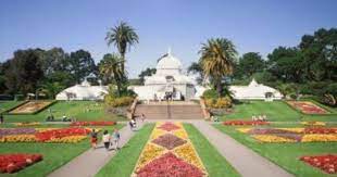 Facts About The Blazing Star Plant Golden Gate Park San Francisco San Francisco Attractions Golden Gate Park