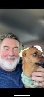 Lost blind and deaf dog named Cody