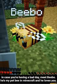 Looking for the best anime memes to share online? Loves You In Case You Re Having A Bad Day Meet Beebo He S My Pet Bee In Minecraft And He In Case You Re Having A Bad Day Meet Beebo He S My