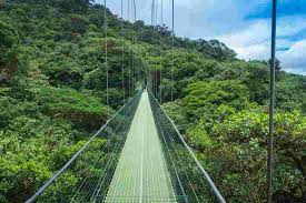 Για να δείτε τον αγώνα bosnia & herzegovina costa rica πατήστε τα παρακάτω λινκς, θα ανοίξει ένα νέο παράθυρο όπου θα εμφανιστέι το βίντεο, κλείστε τις διαφημίσεις πατώντας τα μικρά x και είστε έτοιμοι. Classic Costa Rica Intrepid Travel Us