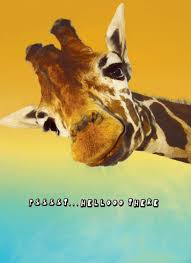 Giraffe Birthday Card Anglo Dutch Pools And Toys Giraffe Quotes Giraffe Giraffe Pictures