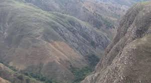 Image result for Leptoderris harmsiana