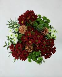 Check spelling or type a new query. 17 Christmas Flowers To Buy 2020 Christmas Flowers Delivery