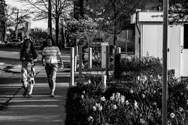 Best Street Photography Lens For Nikon And Canon Dslrs