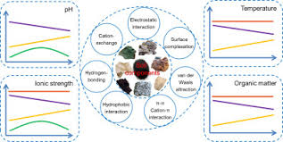 Of innumerable particles and interstitial spaces. Sorption Of Pharmaceuticals And Personal Care Products On Soil And Soil Components Influencing Factors And Mechanisms Sciencedirect